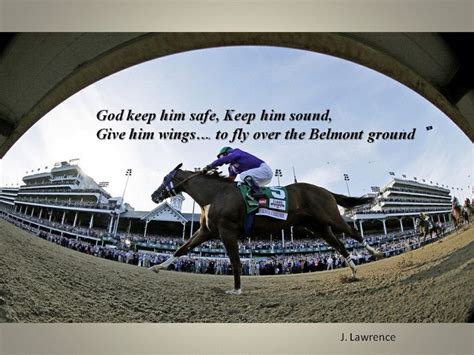 racehorse quotes|TOP 25 RACEHORSES QUOTES .